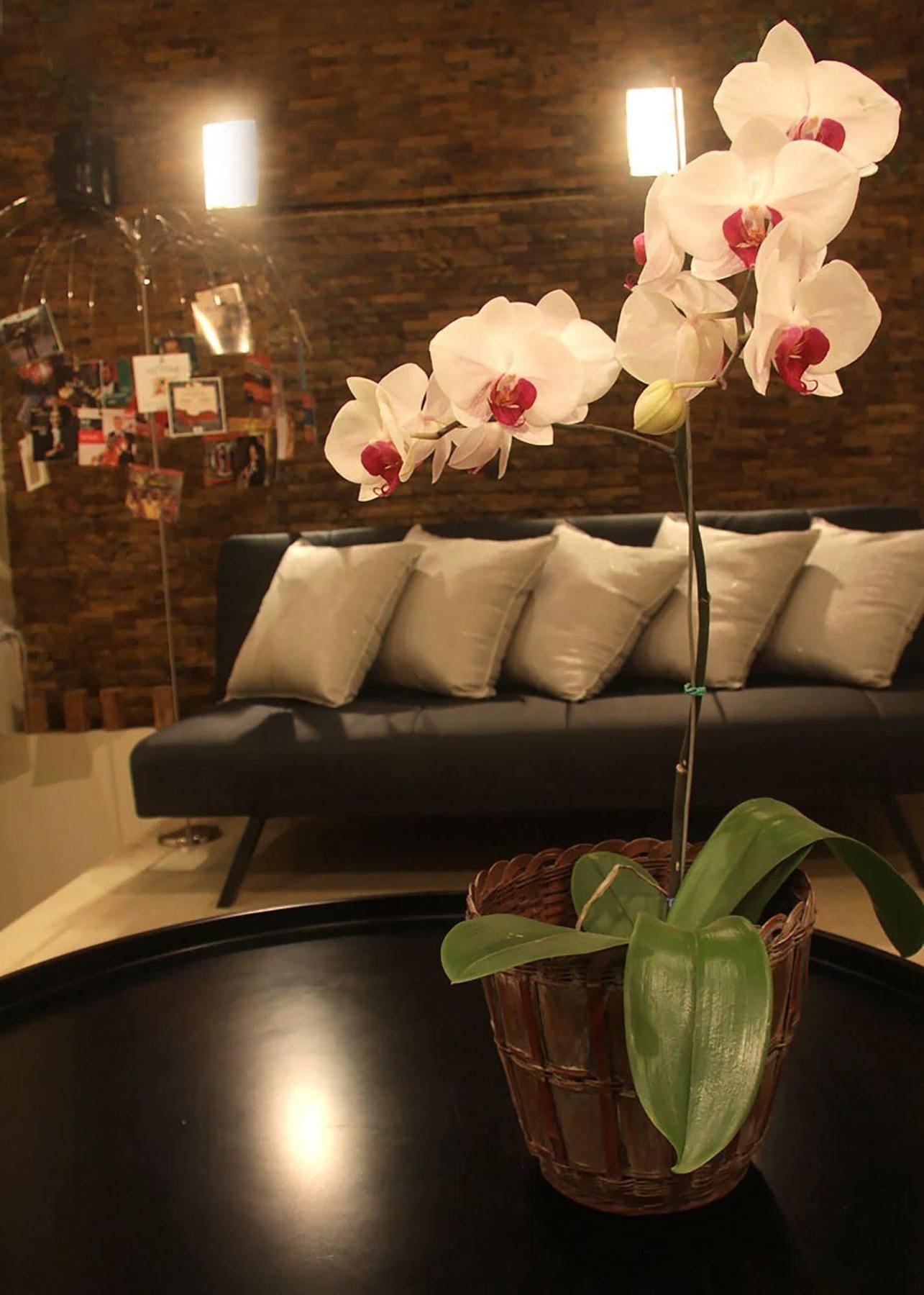 6 Suites Hotel Богота Экстерьер фото